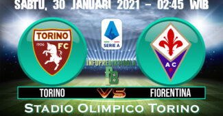 Torino vs Fiorentina